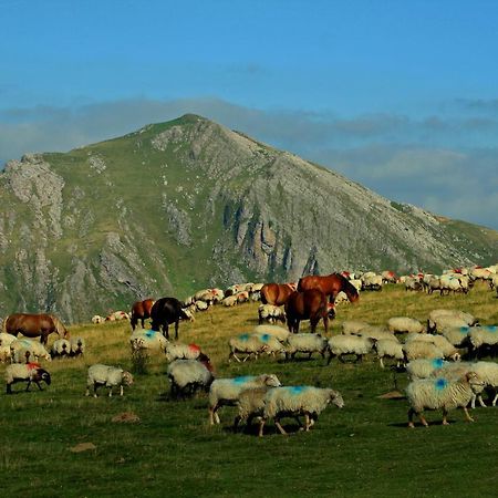 Hostal Mendilatz Orbaiceta Dış mekan fotoğraf