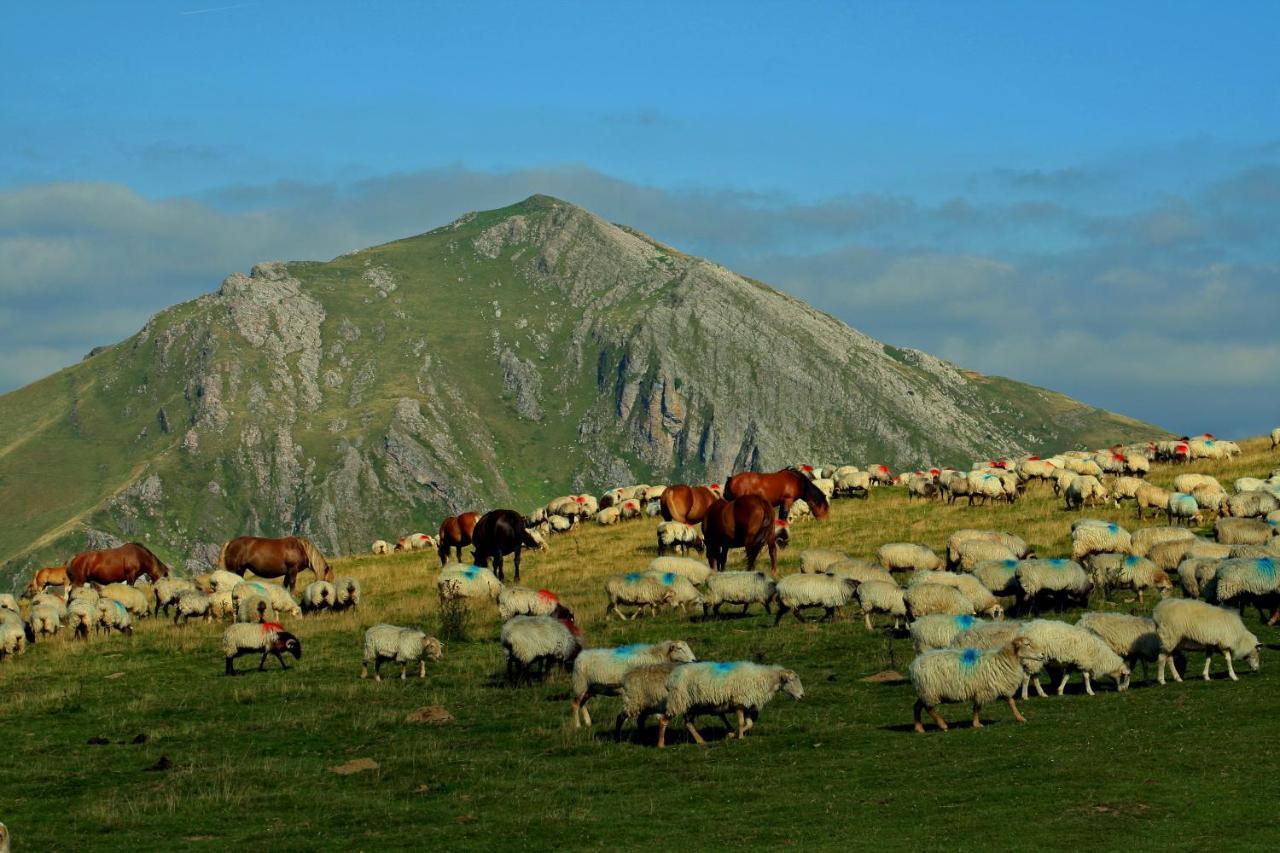 Hostal Mendilatz Orbaiceta Dış mekan fotoğraf